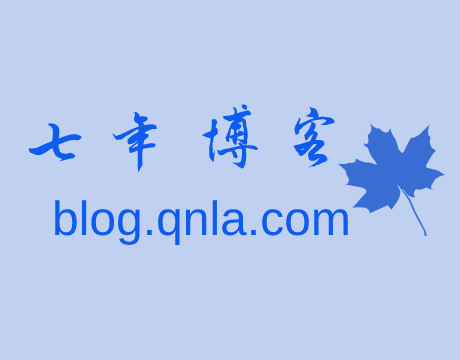 Google Voice如何保号-七年博客